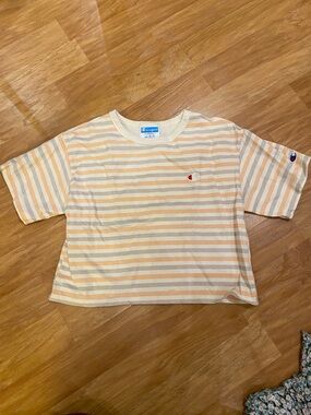 Champion Striped Crop Tee in Cream & Peach